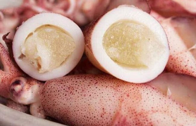 Mực trứng với phần bụng trứng đầy ú ụ