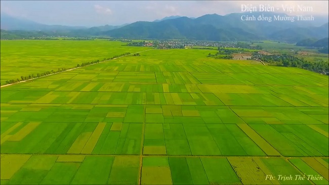 Cánh đồng Mường Thanh - bức tranh lúa đồng lớn nhất miền núi cao Tây Bắc