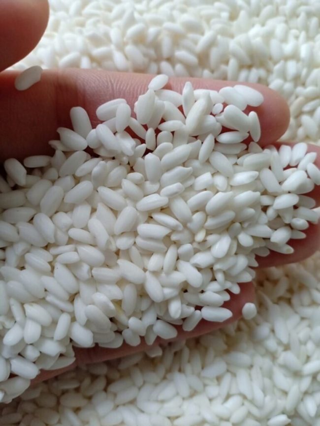 Hạt gạo to, tròn, mẩy và không quá trắng