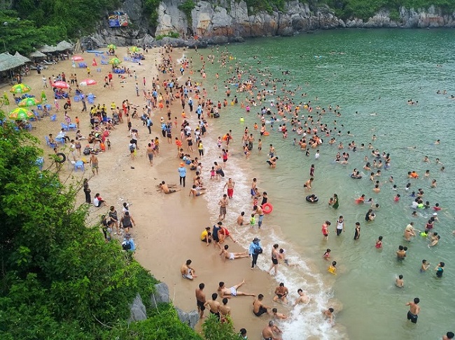 Thảo thích bơi lội trên bãi biển xanh mát ở Tuần Châu