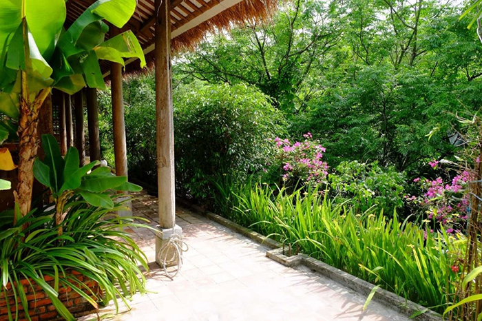 Làng vườn Bách Thuận đến nay đã có hơn 100 năm tuổi đời với khung cảnh thiên nhiên tươi mát, thư giãn