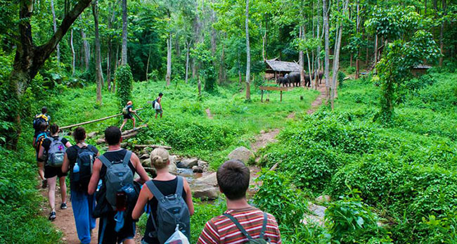 Rừng Cúc Phương nằm trong top những khu rừng nguyên sinh đẹp nhất Việt Nam