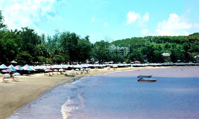 Tắm biển trên bãi biển Đồ Sơn vào mùa hè