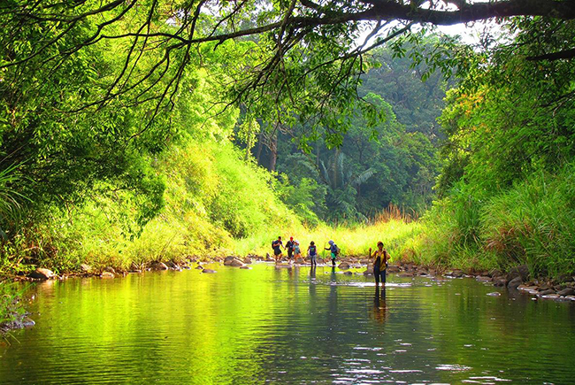 Vườn quốc gia Bù Gia Mập là khu rừng nguyên sinh được bảo tồn gần như hoang sơ chạy dọc theo biên giới Campuchia