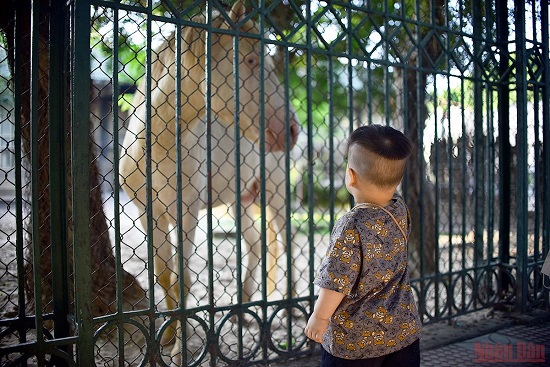 Vườn thú Hà Nội (công viên Thủ Lệ) được các bạn nhỏ rất yêu thích