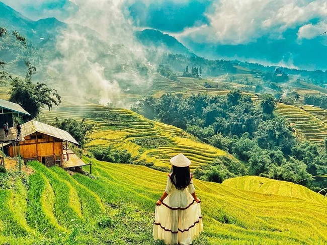 Đến tháng 9, tháng 10, khắp các triền đồi Sapa nhuộm một màu vàng rực rỡ của lúa chín, vừa đẹp vừa thơ, làm say lòng biết bao du khách