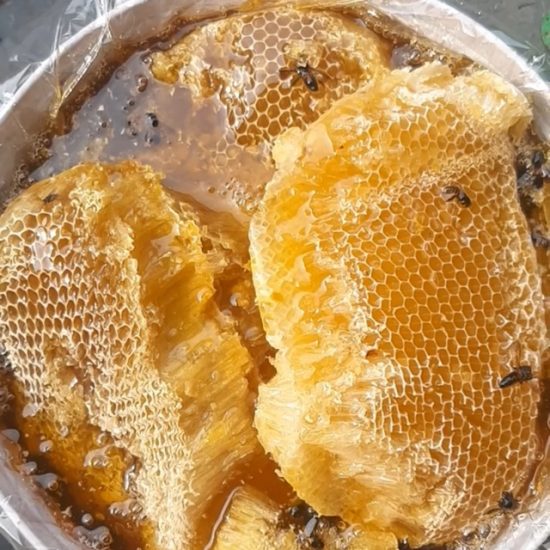 Đặc sản mật ong rừng nguyên chất Tuyên Quang