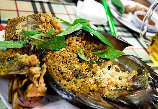 Sam biển - Món ăn hải sản phổ biến ở Vân Đồn
