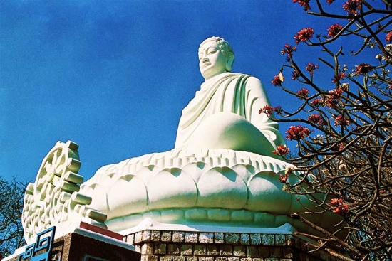Tượng Đức Phật Thích Ca Mâu Ni khổng lồ