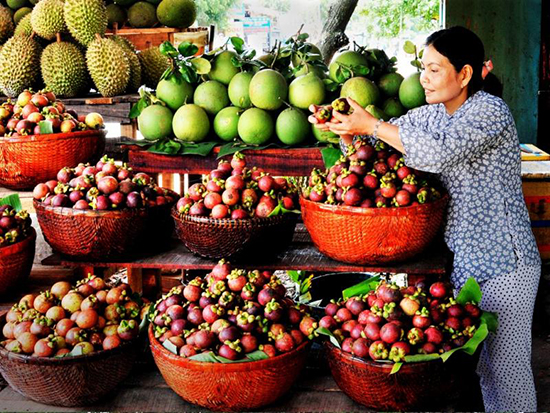 Lái Thiêu được xem là thánh địa của các loại cây lành trái ngọt.
