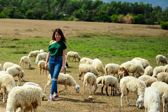 Đồng cừu Suối Nghệ - Địa chỉ chụp ảnh siêu 'hot' ở Vũng Tàu.