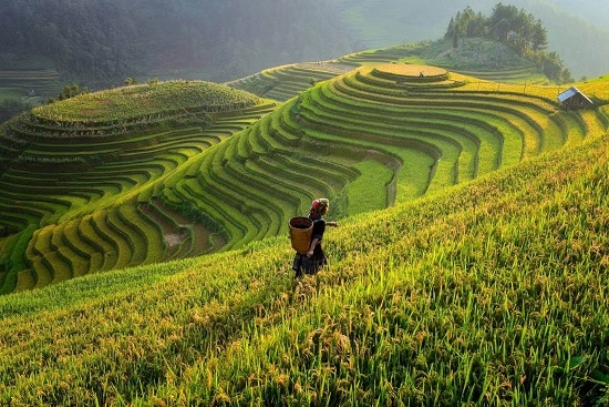 Sapa thuộc tỉnh nào