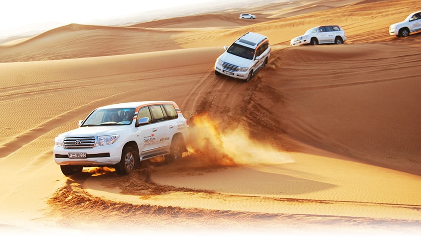 Tận hưởng cảm giác mạnh đua xe Land Cruiser chinh phục cồn cát