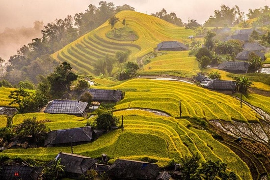 Ruộng bậc thang Hoàng Su Phì