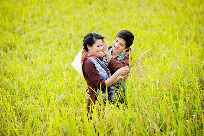 Nếu đến Đường Lâm vào mùa gặt, du khách sẽ càng thấy rõ vẻ đẹp cổ kính, bình dị mà quyến rũ của ngôi làng với nghề trồng lúa truyền thống.