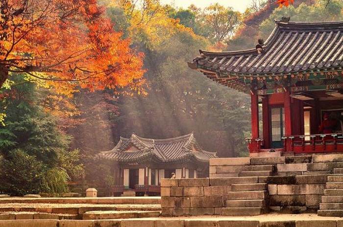 Cung điện Changdeokgung lâu đời và tráng lệ nhất Hàn Quốc