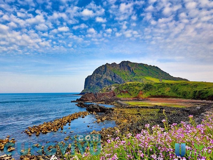Đảo Jeju được mệnh danh là thiên đường của Hàn Quốc