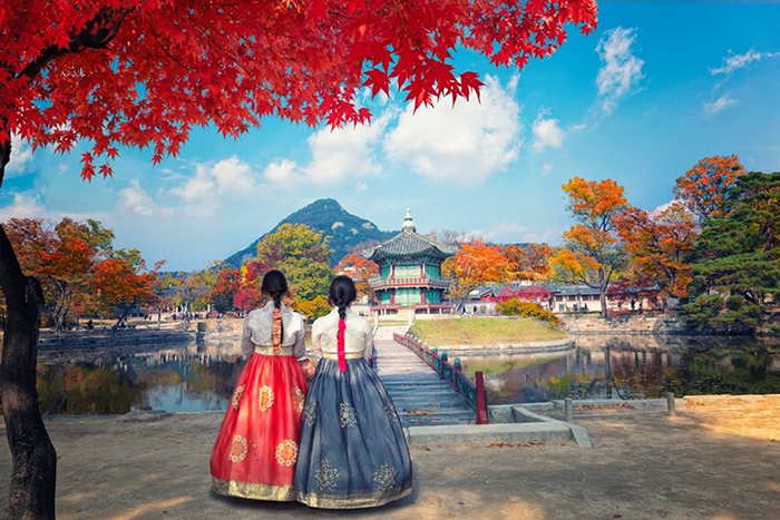 Nếu bạn đang có kế hoạch du lịch tới Hàn Quốc lựa chọn du lịch theo tour sẽ là phương án tối ưu nhất.