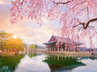 Hàn Quốc là một trong những quốc gia được du khách quốc tế lựa chọn nhiều nhất khi đi du lịch