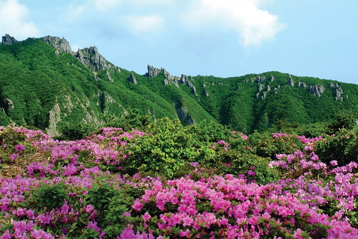 Núi Hallasan được UNESCO công nhận là di sản thiên nhiên thế giới