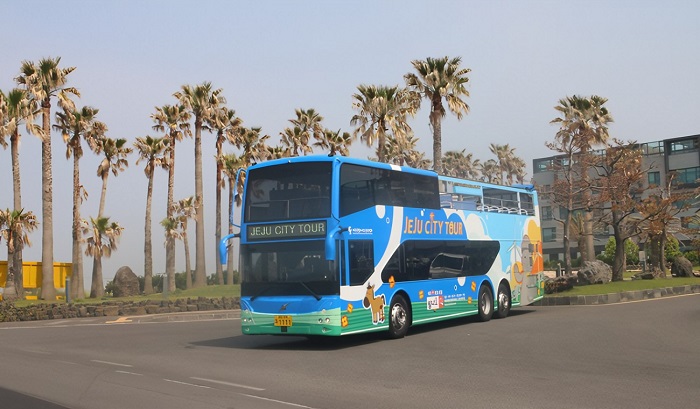 Xe bus là phương tiện phổ biến tại Jeju