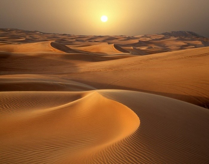 Sa mạc Thar - sa mạc lớn nhất tại Ấn Độ