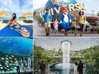 Tham khảo giá tour du lịch Singapore và gợi ý cách tiết kiệm chi phí