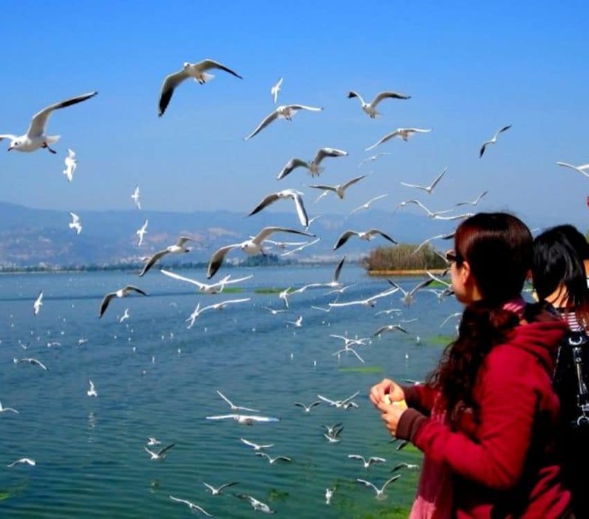 Hồ Điền Trị - Hồ nước ngọt lớn nhất tỉnh Vân Nam